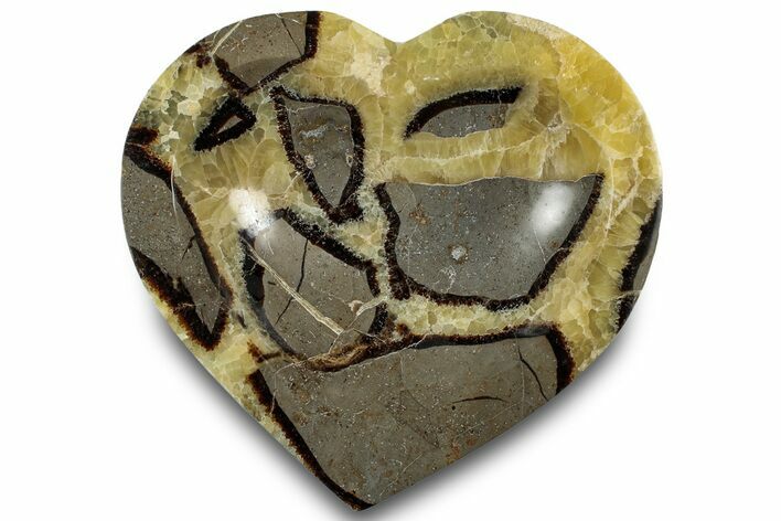 Polished Heart-Shaped Septarian Dish - Madagascar #304712